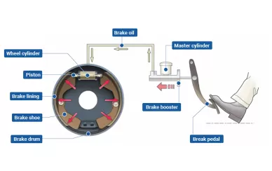 What does a brake shoe do?